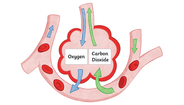 Solid Matter Example